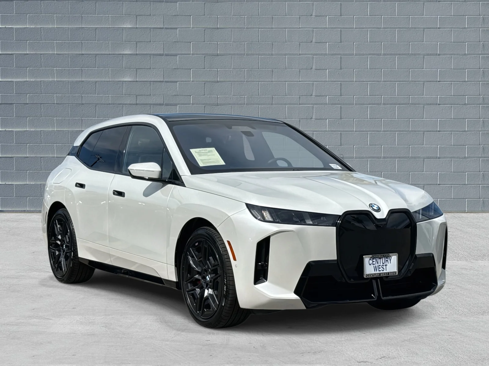 2026 BMW iX xDrive60's photo