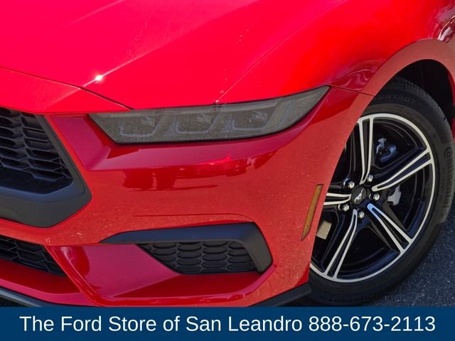 2025 Ford Mustang EcoBoost Fastback - Photo 11