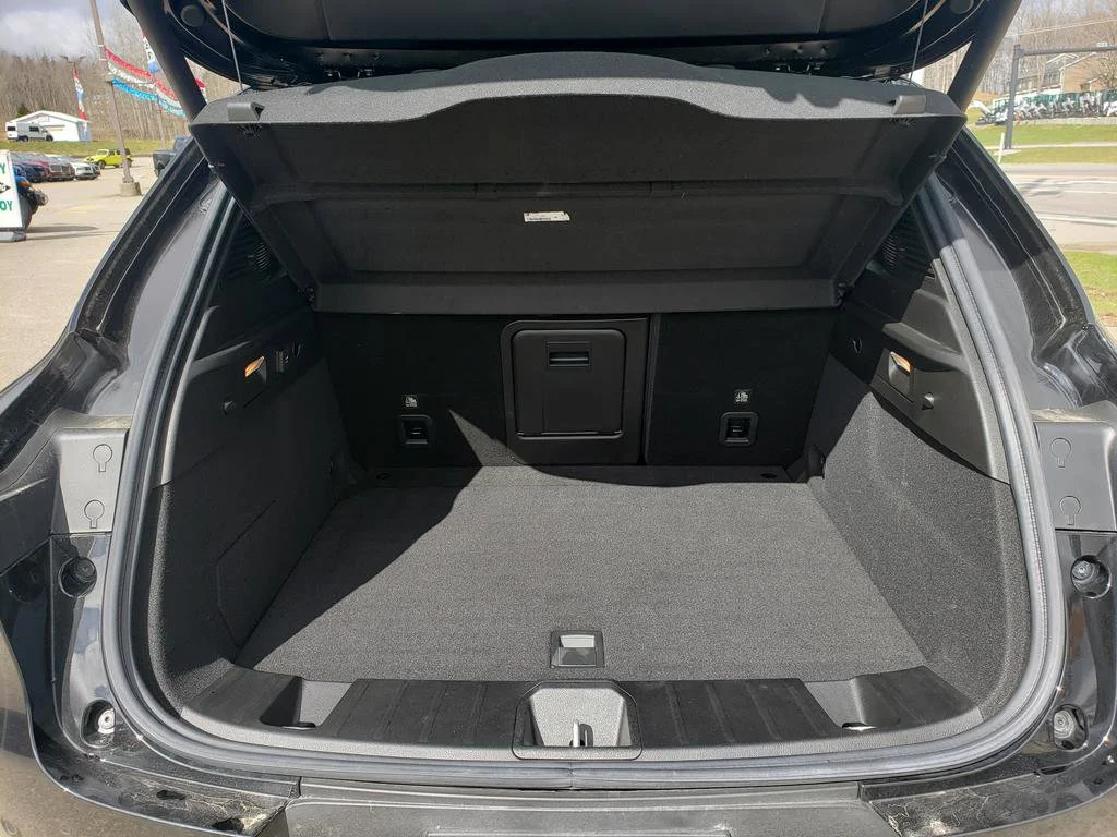 New 2024 8 Ball Dodge GT Plus image 5