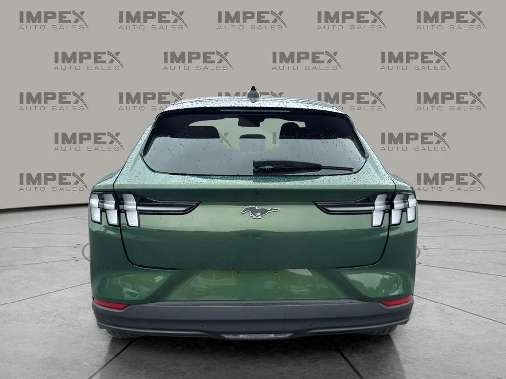Used 2025 Green Ford Premium image 4
