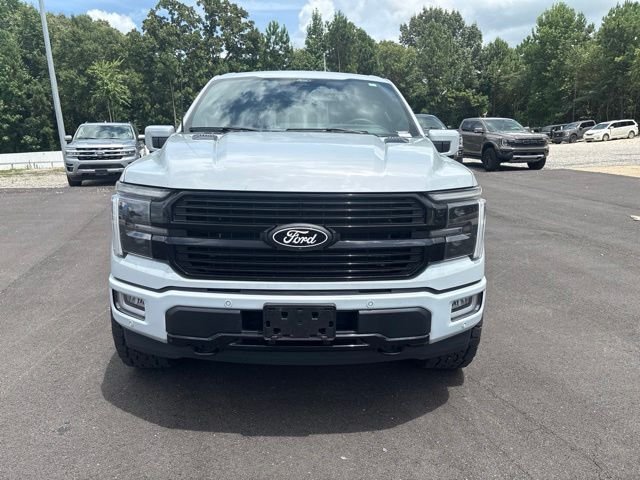 Used 2025 Space Gray Ford Platinum image 2