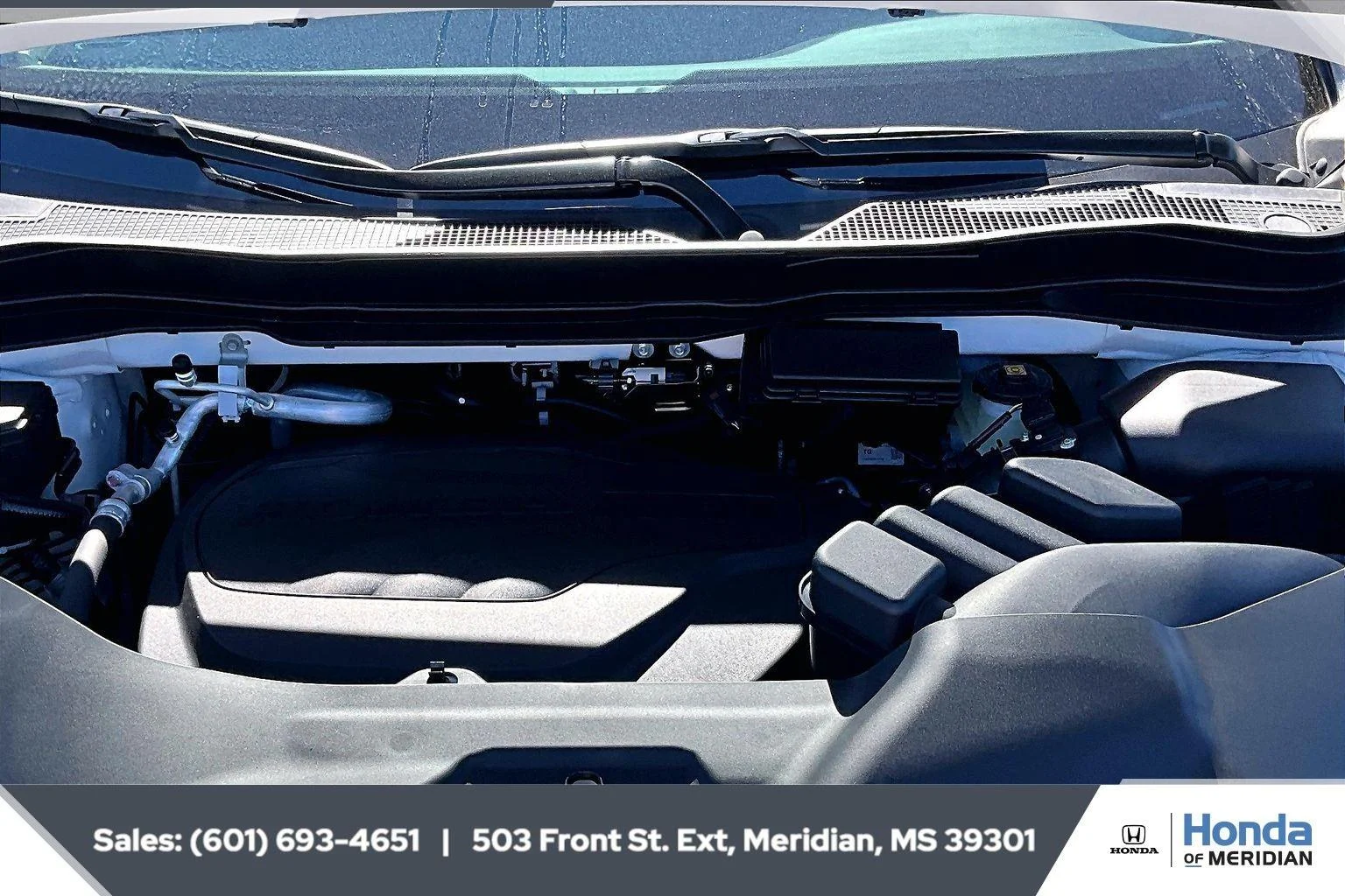 New 2026 Platinum White Pearl Honda RTL image 9