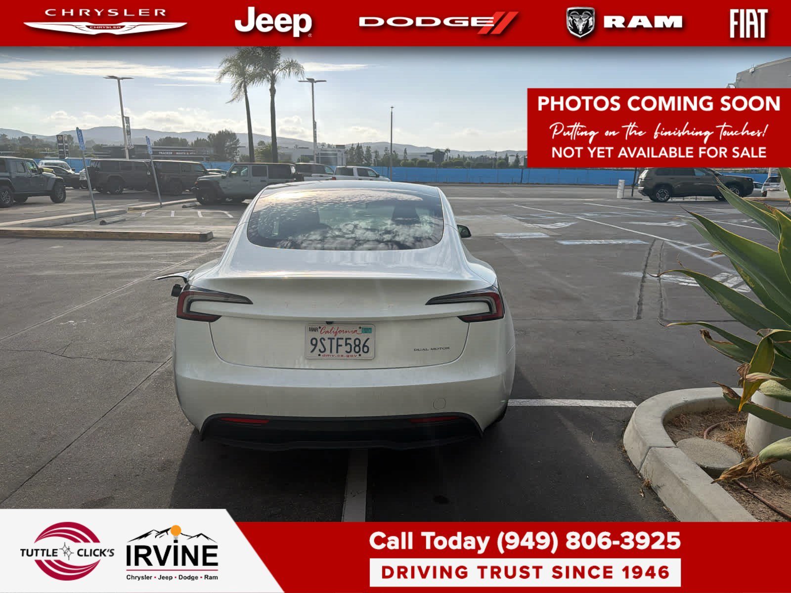 Used 2025 Pearl White Multi-Coat Tesla Long Range image 3