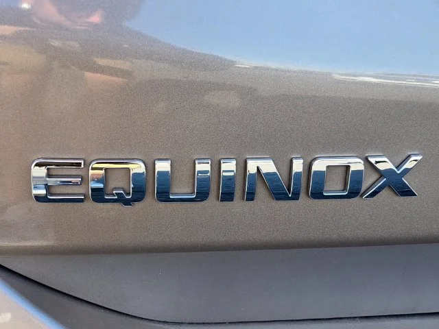 Used 2019 Beige Chevrolet LS image 17