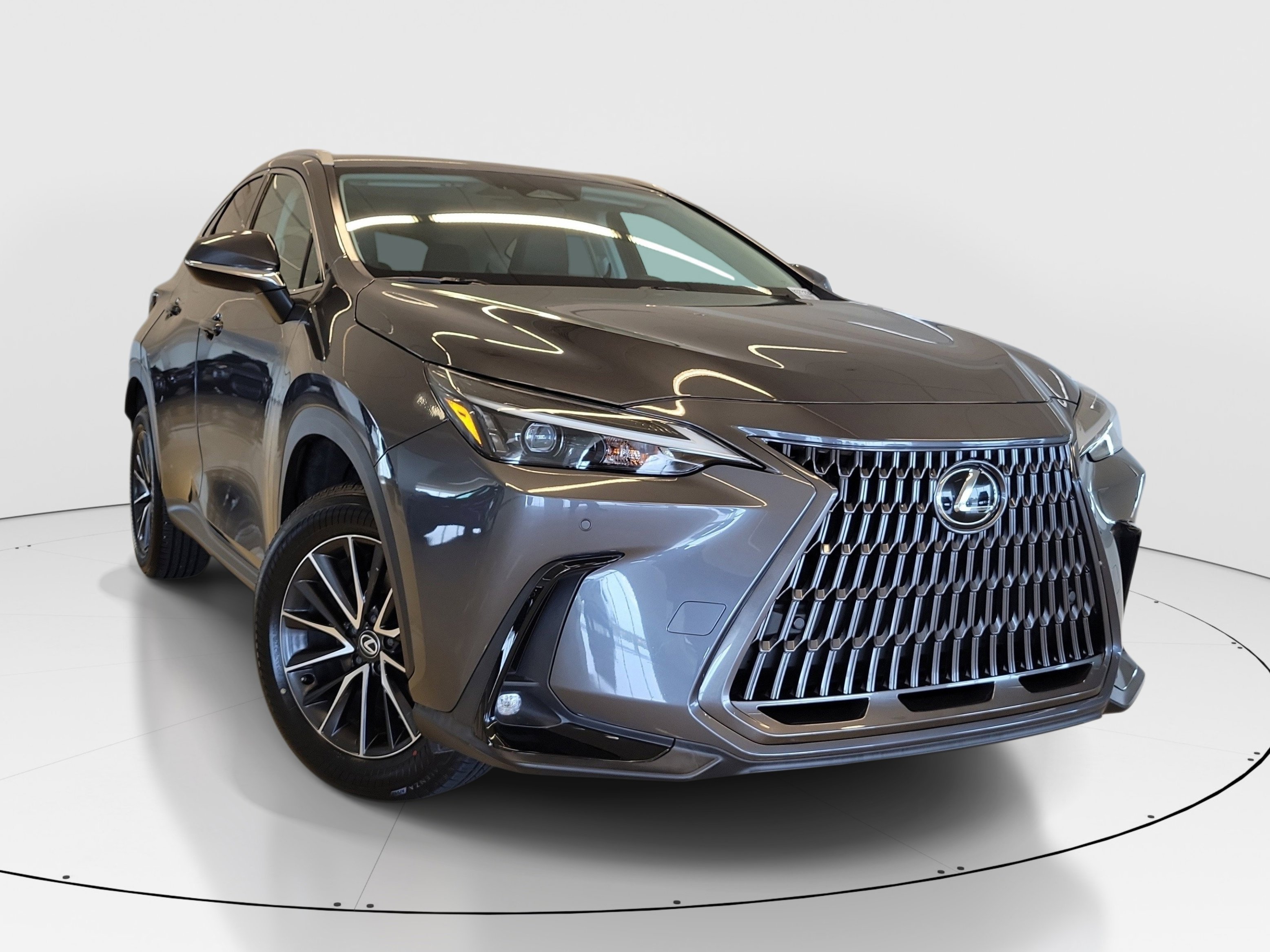 Certified Used 2024 Gray Lexus NX 350 Premium image 2