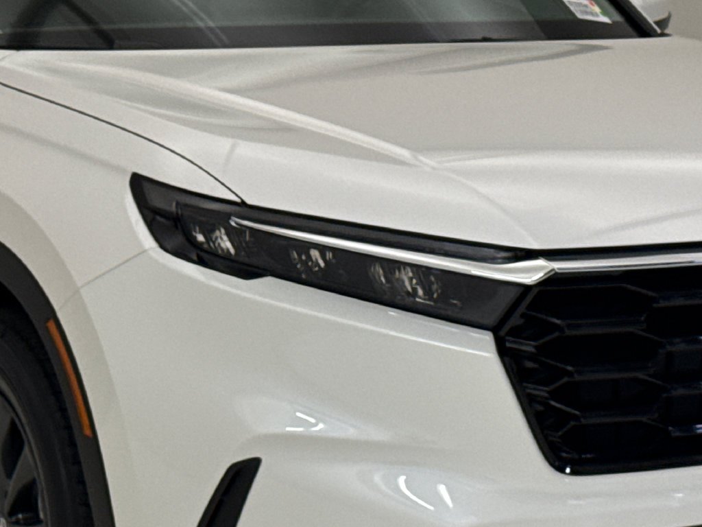 New 2027 Platinum White Pearl Honda EX-L image 5