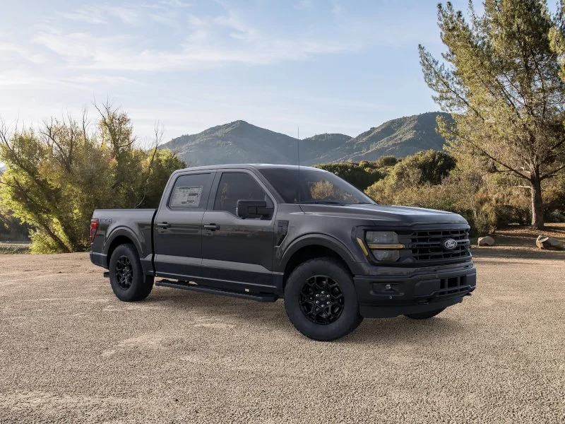 New 2025 Agate Black Metallic Ford XLT image 30