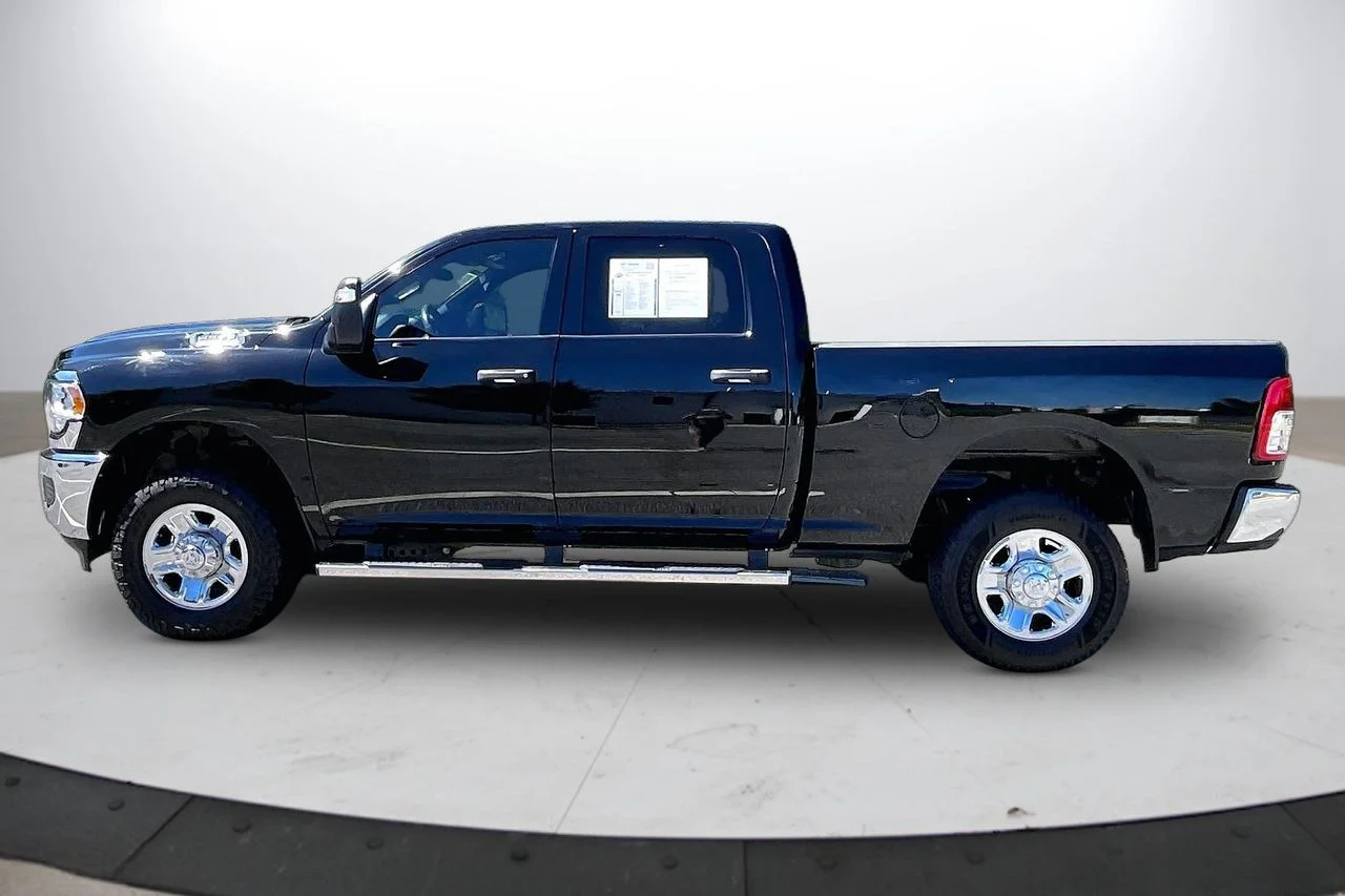 Used 2024 Black Ram Tradesman image 5