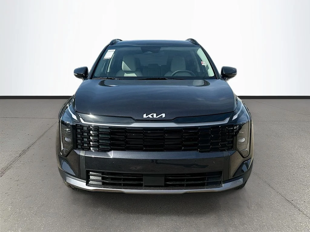 New 2026 Panthera Metal Kia EX image 2