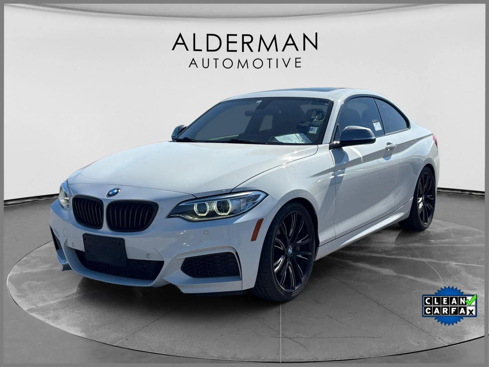 2015 BMW 2 Series M235i Coupe's photo