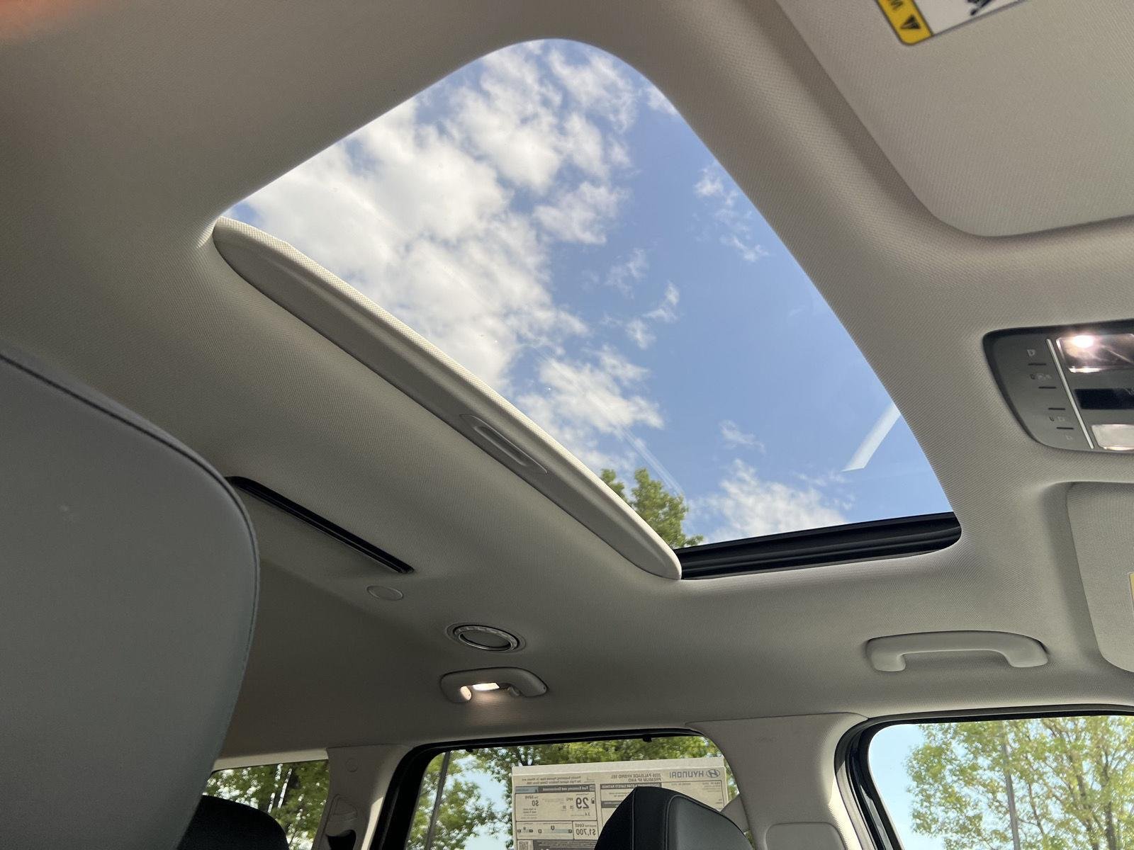 2026 Hyundai Palisade SEL Premium - Photo 21