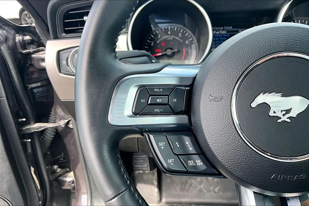 Used 2022 Gray Ford  image 18