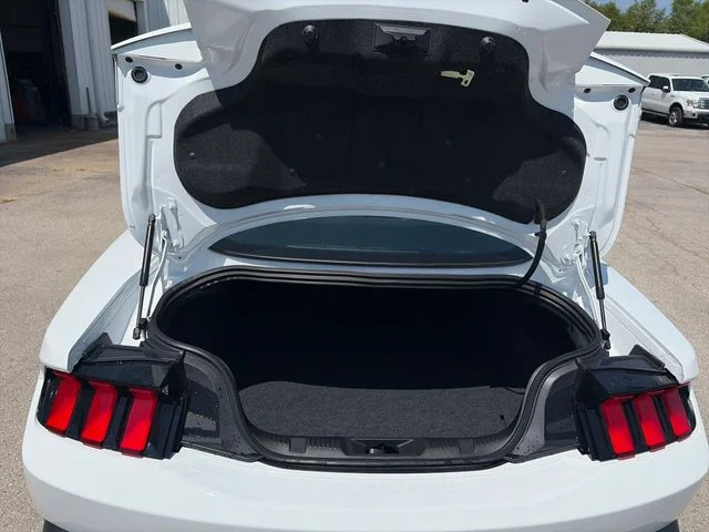 New 2026 Oxford White Ford EcoBoost® Premium Fastback image 23