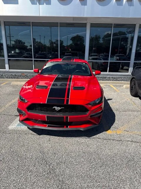 Used 2019 Ford Mustang EcoBoost with VIN 1FA6P8TH1K5197309 for sale in Valparaiso, IN