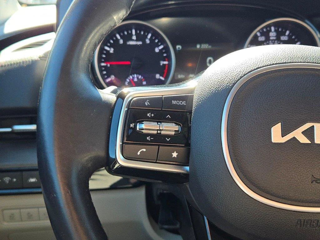 Used 2022 Panthera Metal Kia EX image 29