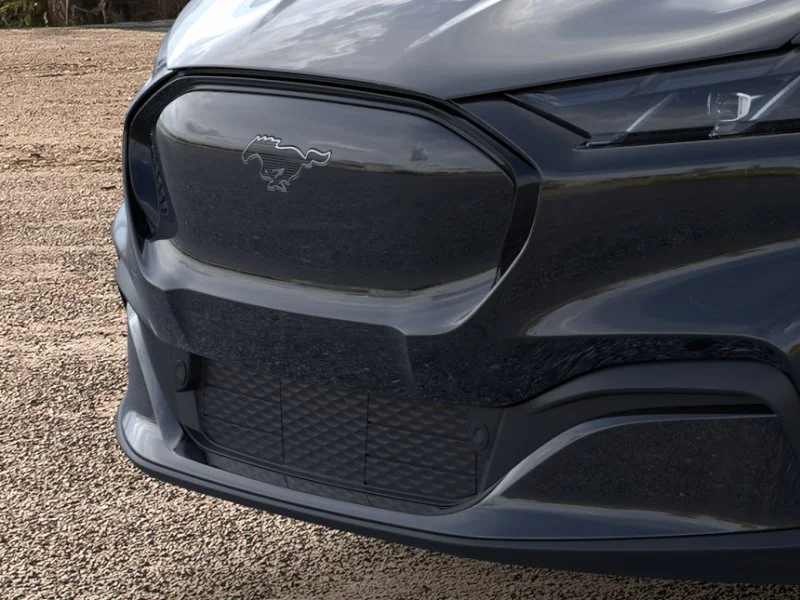 New 2026 Shadow Black Ford Premium image 17