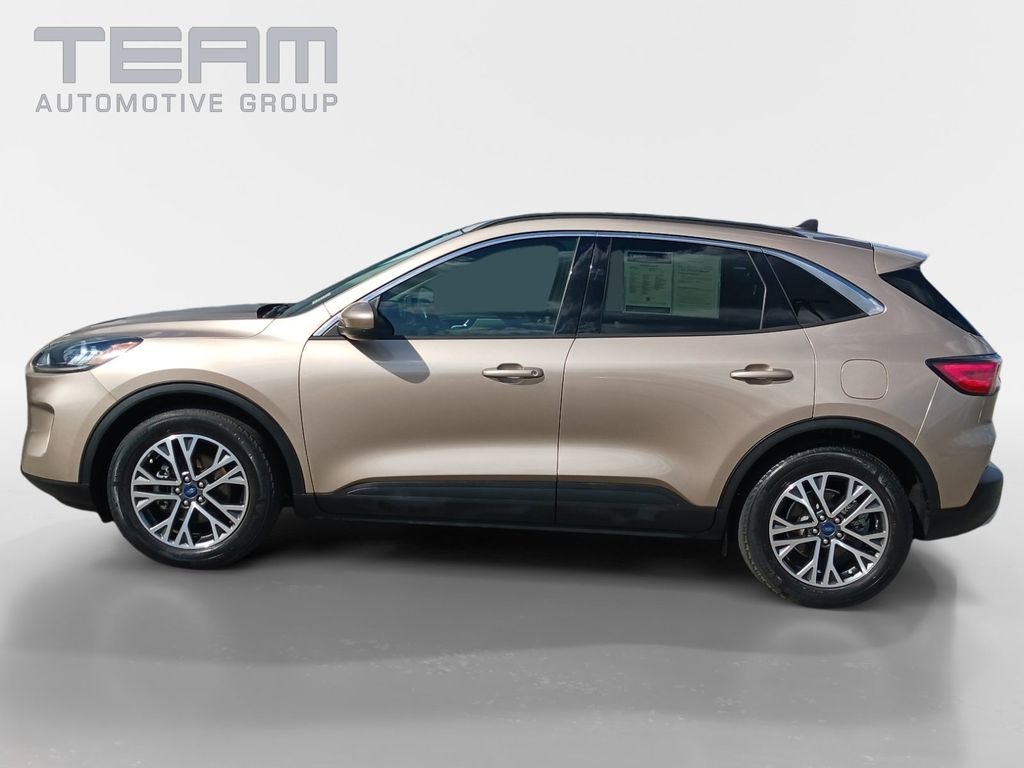 Used 2020 Gold Ford SEL image 4