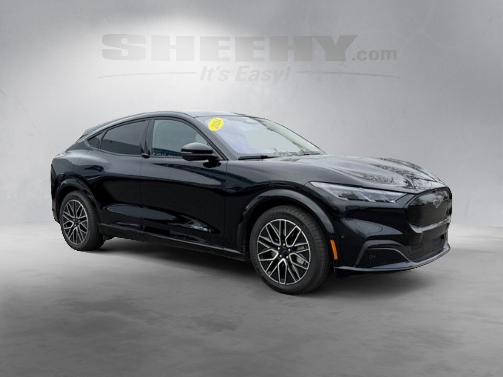 Certified 2024 Ford Mustang Mach-E Premium AWD with VIN 3FMTK3SU6RMA07257 for sale in Springfield, VA