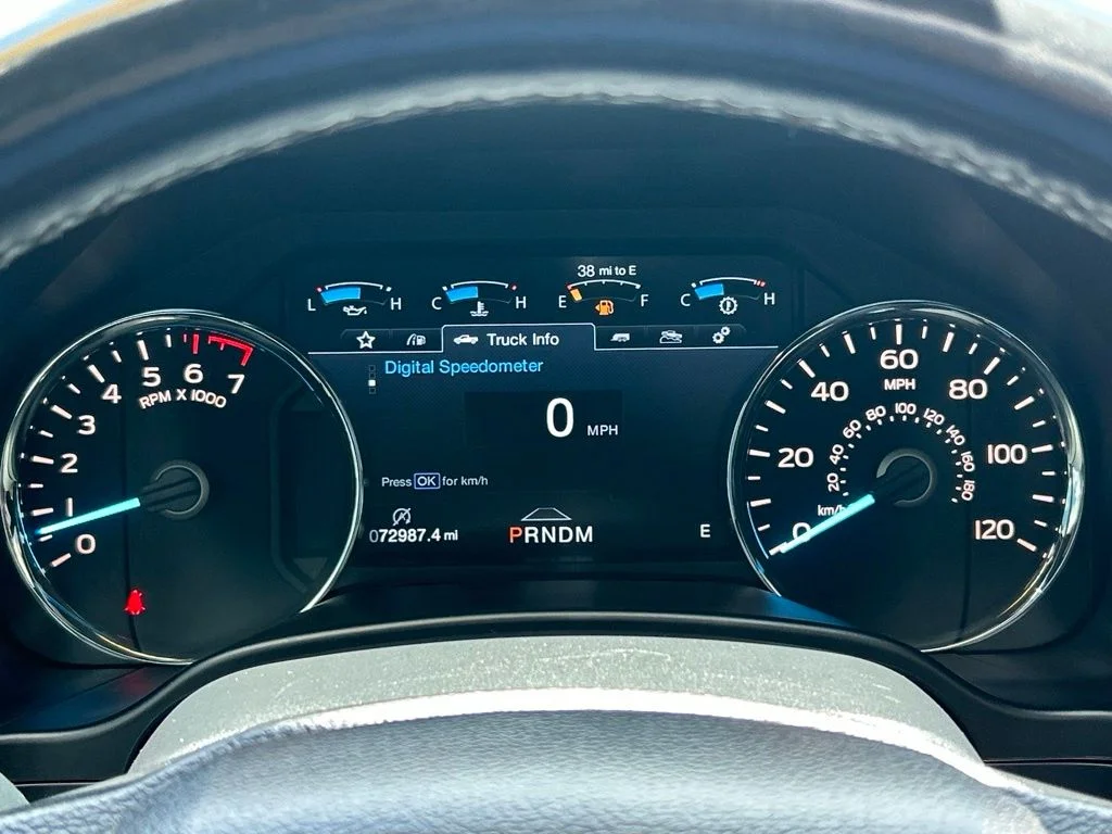 Used 2019 Black Metallic Ford Platinum image 24