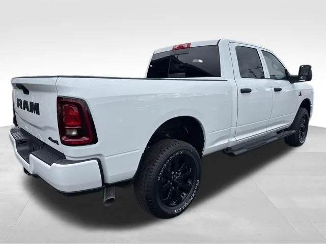 New 2026 Bright White Clear-Coat Exterior Paint RAM Black Express image 7