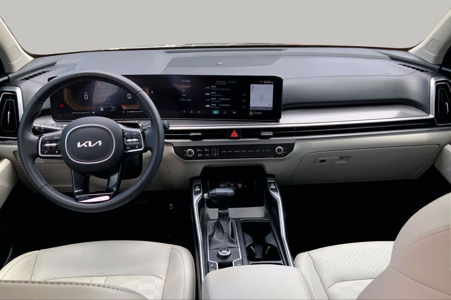 Used 2025 Panthera Metal Kia S image 16