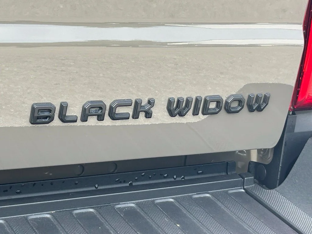 New 2027 Marsh Gray Metallic Ford BLACK WIDOW image 24