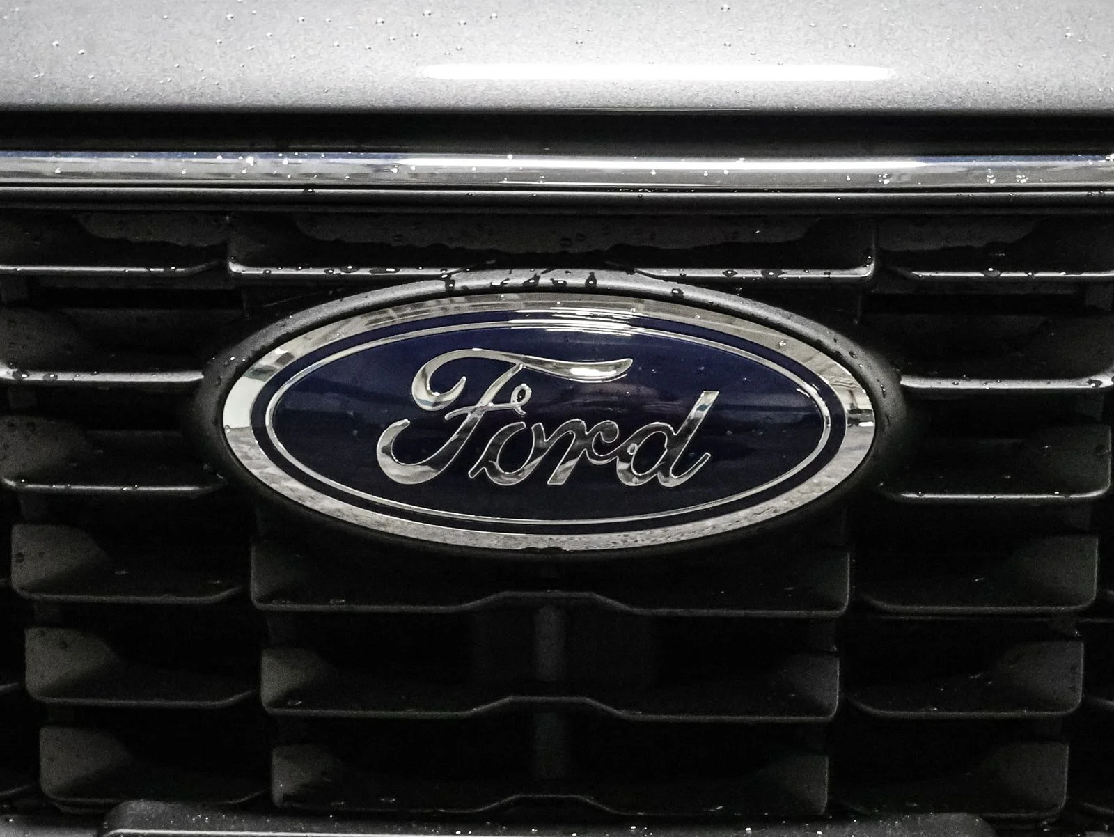 New 2026 Carbonized Gray Metallic Ford Active® image 13