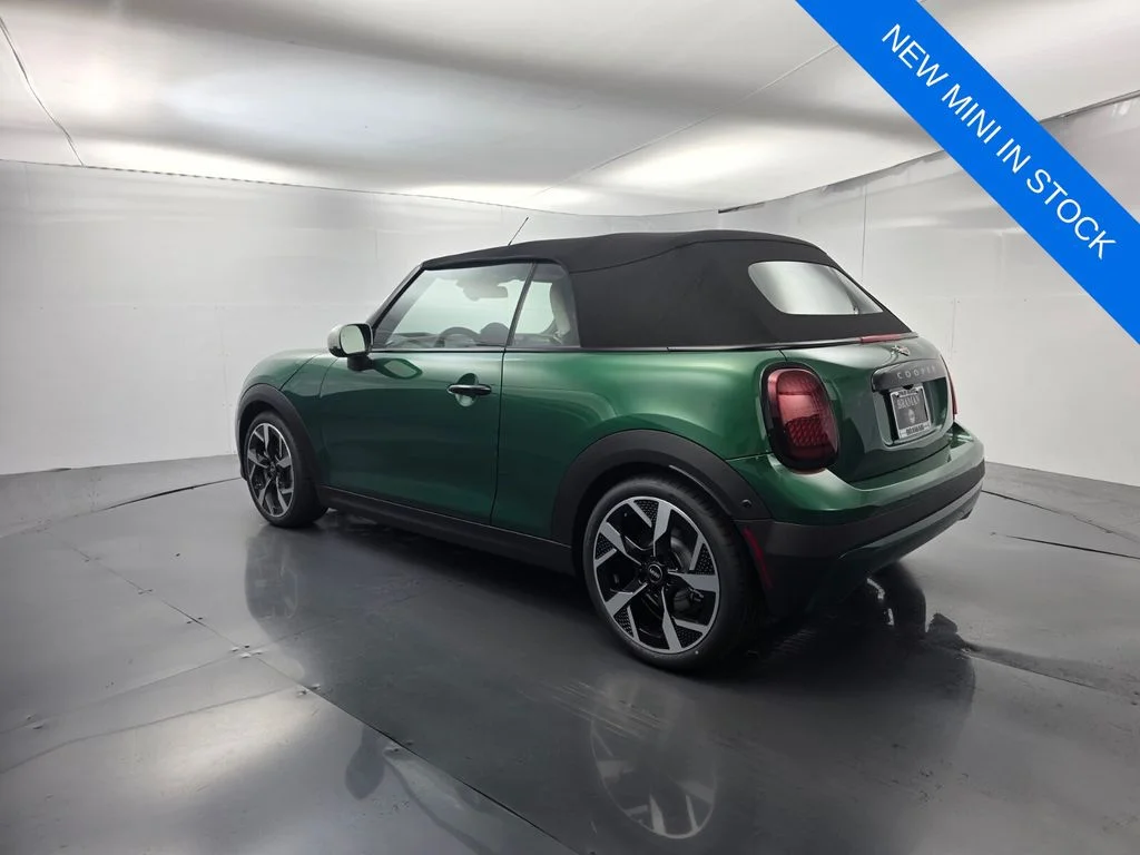 New 2026 Green MINI Signature Plus image 7