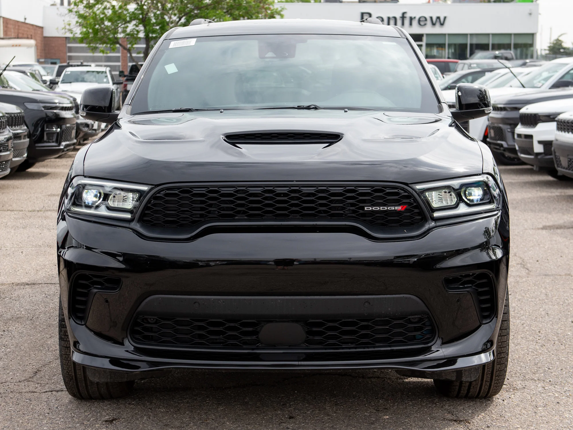 New 2026 Black Dodge GT Plus* image 7