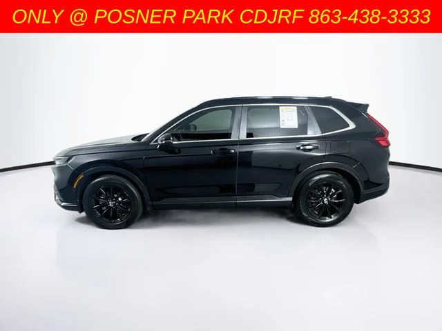 Used 2024 Black Honda Sport image 4