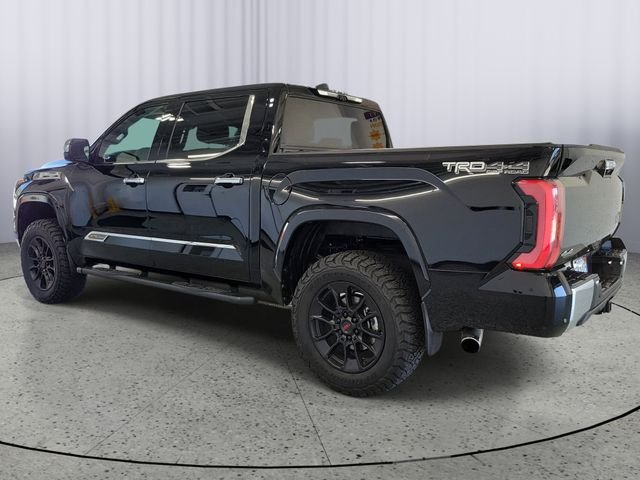 Used 2025 Black Toyota 1794 image 3