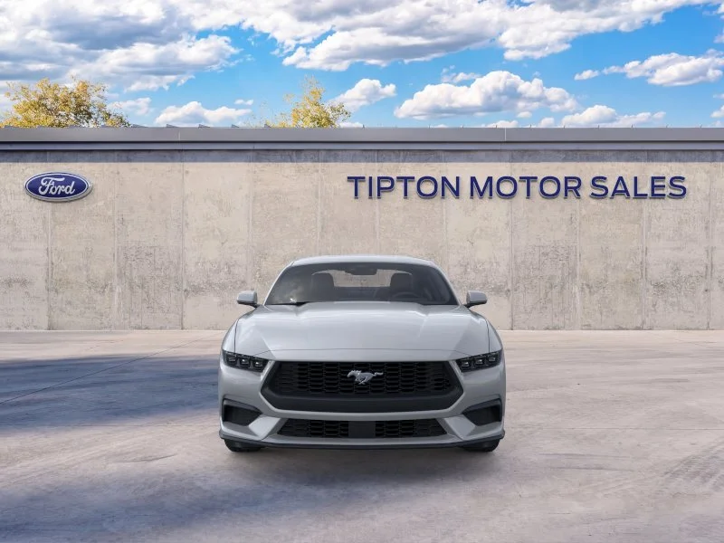 New 2026 Avalanche Gray Ford EcoBoost® Fastback image 6