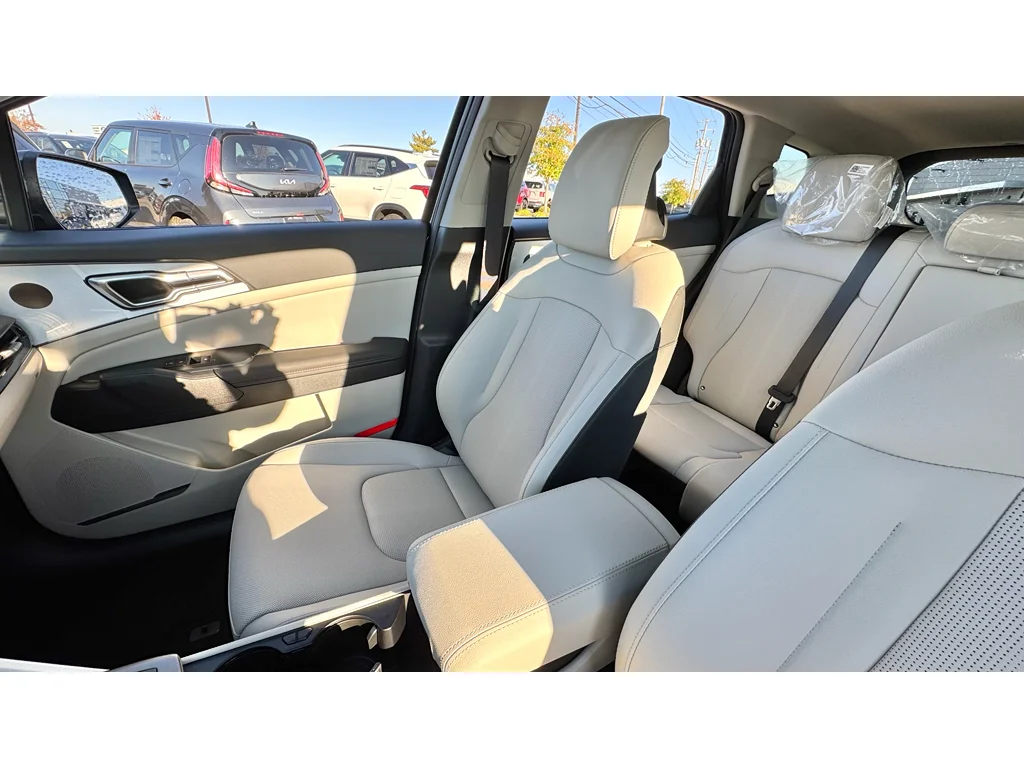 New 2026 Panthera Metal Gray Kia EX image 7