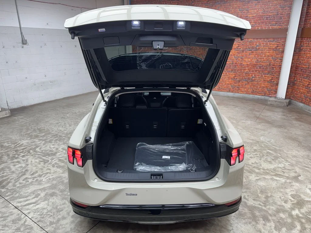 New 2026 Desert Sand Ford Premium image 26