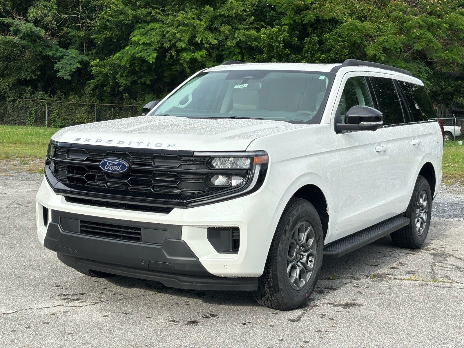 2026 Ford Expedition Active's photo