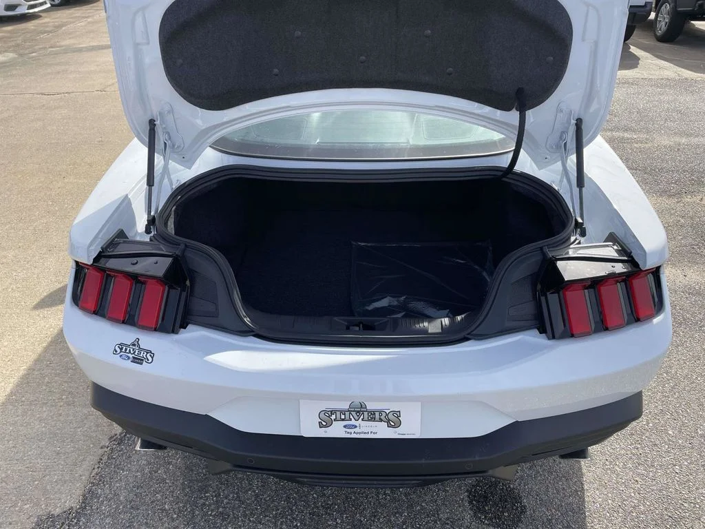 New 2026 White Ford EcoBoost image 10