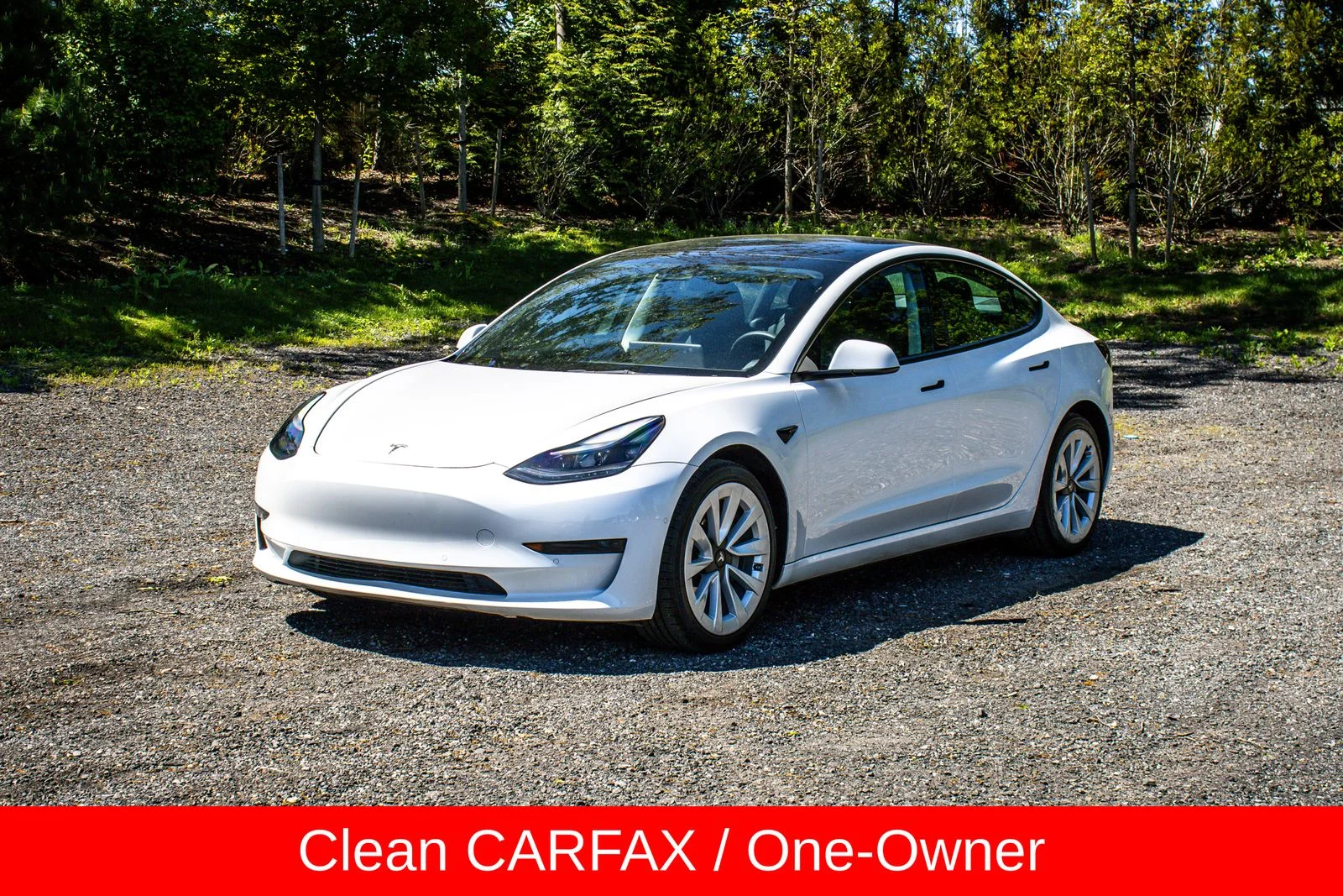 2022 Tesla Model 3 Standard Range Plus's photo