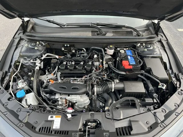 Used 2025  Honda LX image 19
