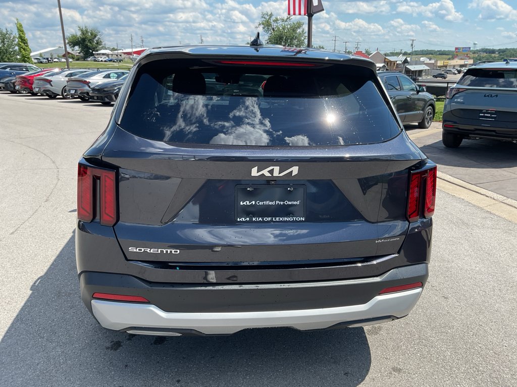 Used 2025 Panthera Metal Kia LX image 8