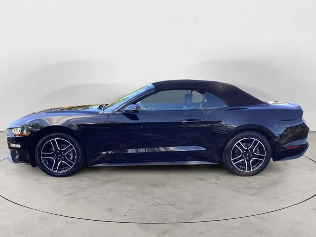 Used 2022 Shadow Black Ford Ecoboost Premium image 2