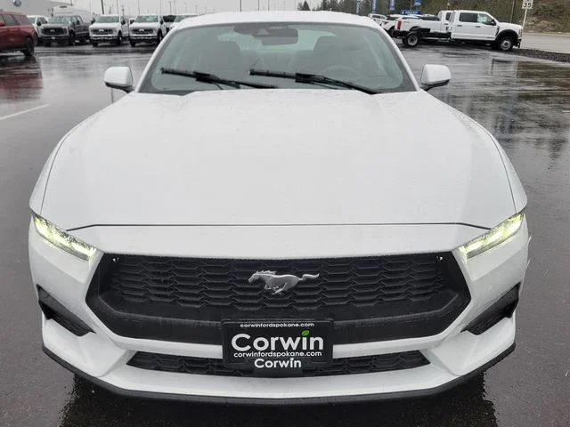 New 2026 Oxford White Ford EcoBoost Premium image 6