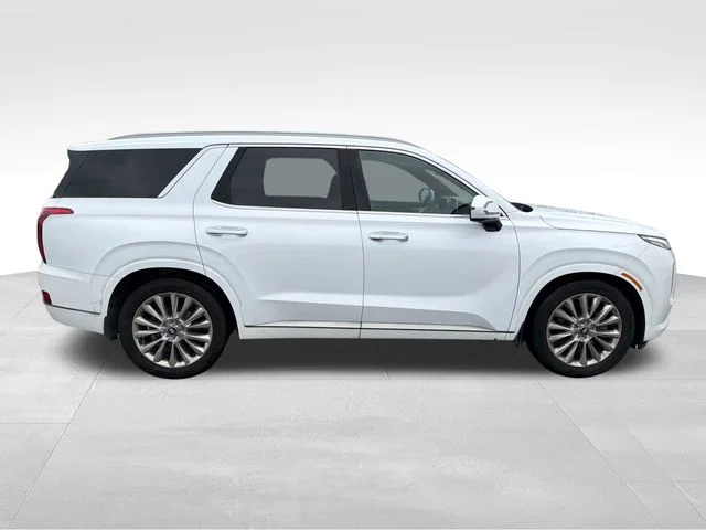 2020 Hyundai Palisade Limited - Photo 8