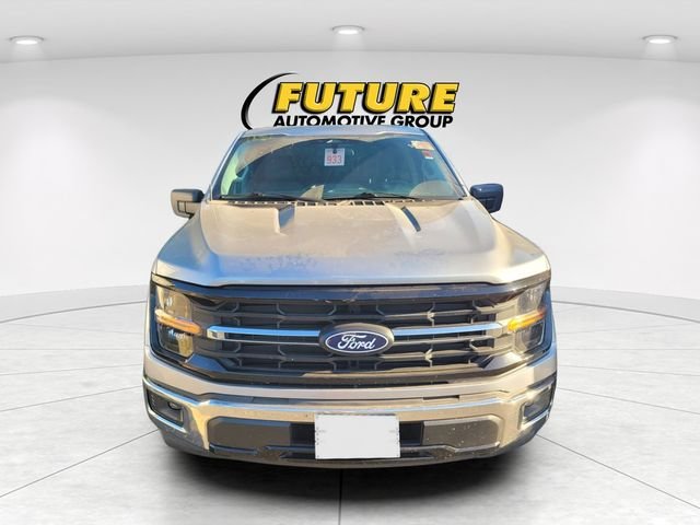 Used 2025 Silver Ford XLT image 2