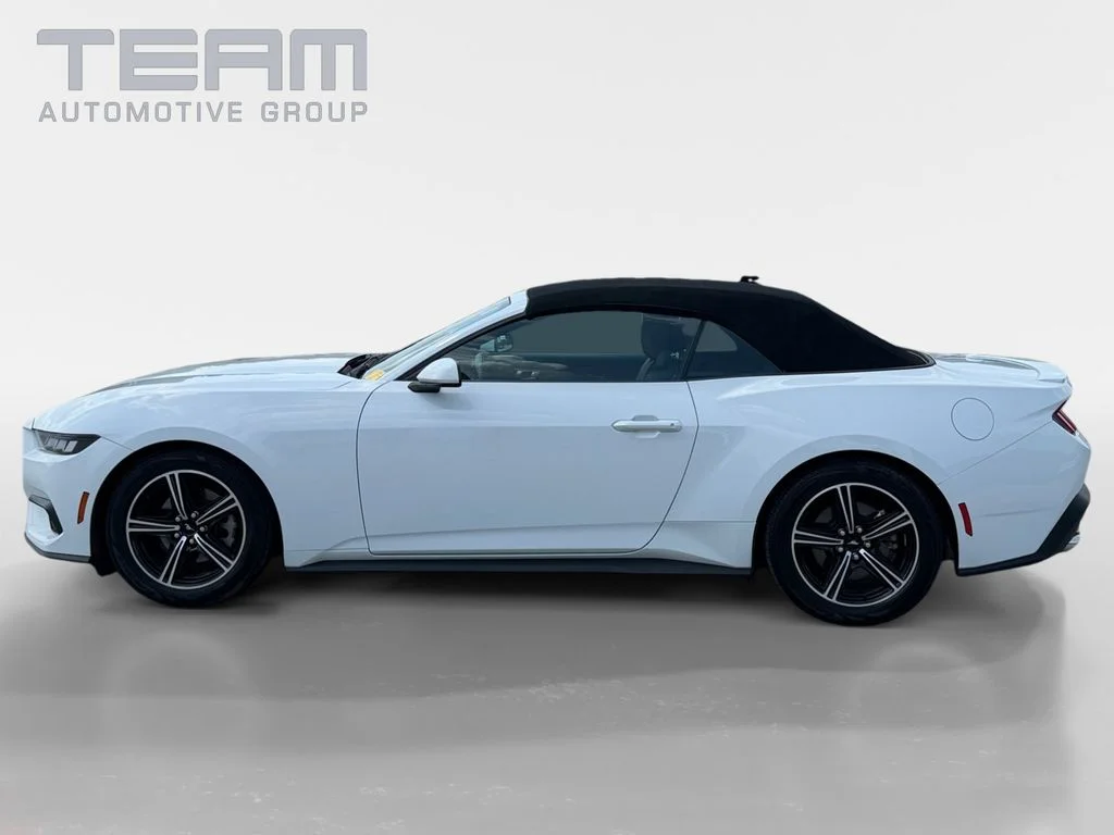 Used 2024 White Ford EcoBoost Premium image 4
