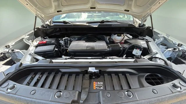 Used 2025 White Chevrolet WT image 30
