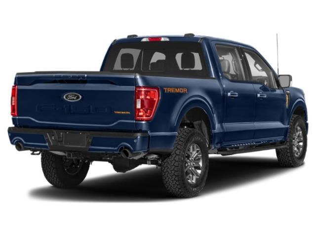 Used 2023 Iconic Silver Metallic Ford Tremor image 6