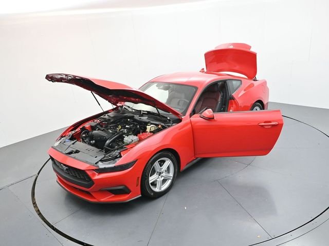 New 2026 Race Red Ford EcoBoost® Premium Fastback image 42