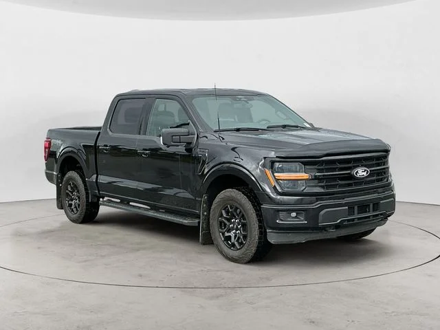 Used 2024 Black Ford XLT image 3