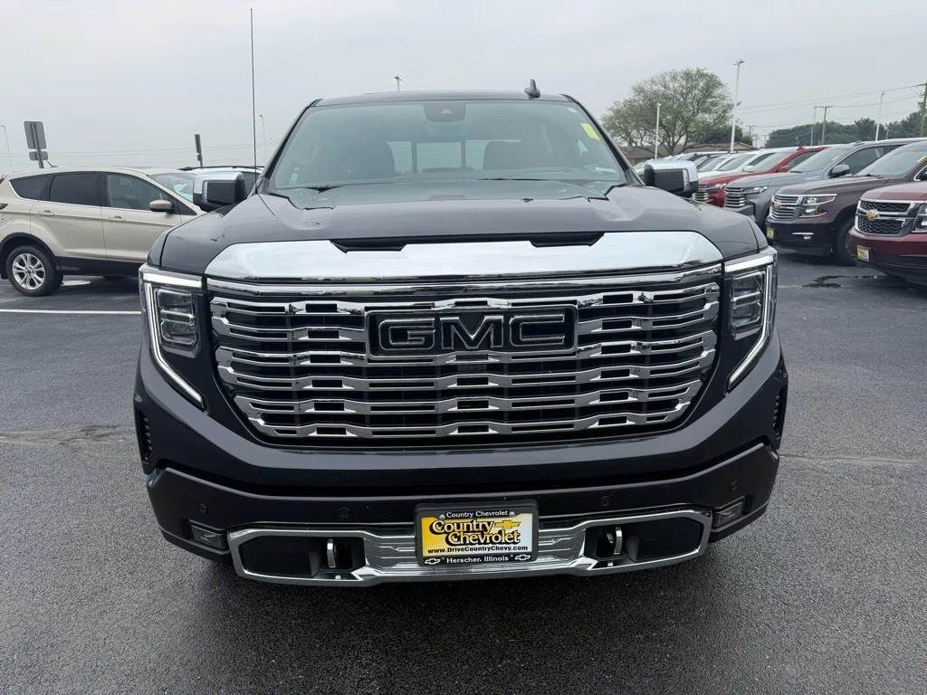 2025 GMC Sierra 1500 Denali - Photo 8