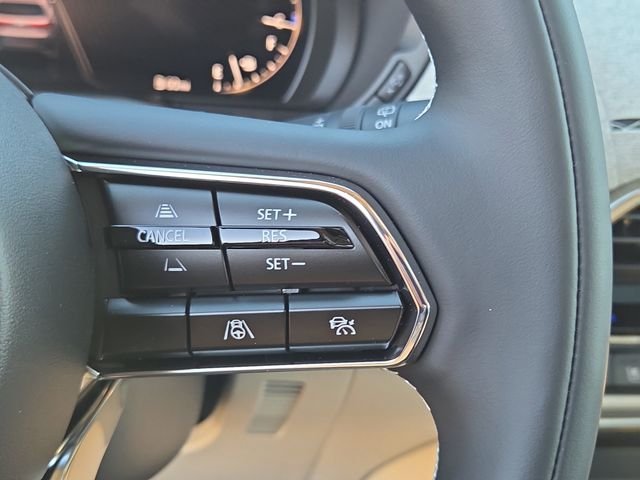 2026 Mazda CX-90 Premium Plus Package - Photo 11